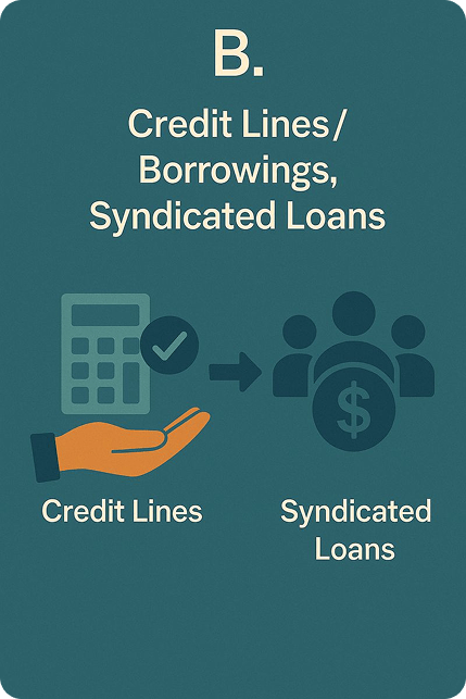 Credit Lines / Borrowings, Syndicated Loans